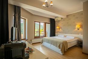 Opus View
