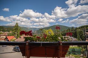 Opus View