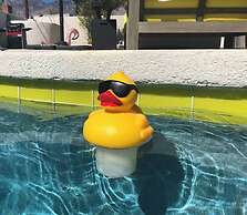 Amarillo House - Luxury Home With Pool Spa