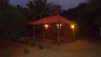 Yala Big Game Drive with Heina Eco Team