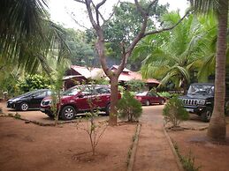 Yala Big Game Drive with Heina Eco Team