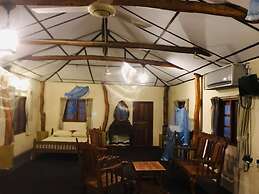 Yala Big Game Drive with Heina Eco Team