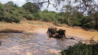 Yala Big Game Drive with Heina Eco Team