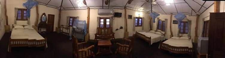 Yala Big Game Drive with Heina Eco Team