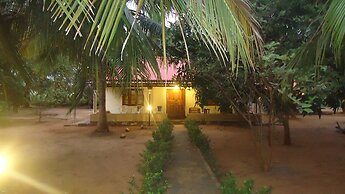 Yala Big Game Drive with Heina Eco Team