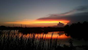 Yala Big Game Drive with Heina Eco Team