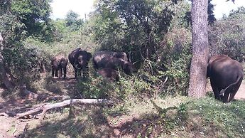 Yala Big Game Drive with Heina Eco Team