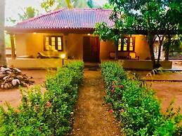 Yala Big Game Drive with Heina Eco Team