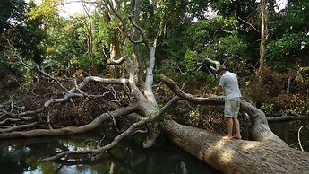 Yala Big Game Drive with Heina Eco Team