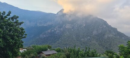 Goat Bungalow and Camping