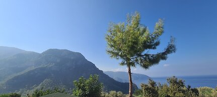 Goat Bungalow and Camping