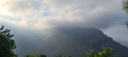 Goat Bungalow and Camping