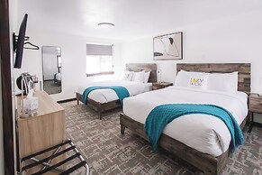 The Lazy Duck Inn