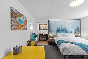 The Lazy Duck Inn