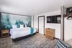 The Lazy Duck Inn