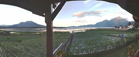 Villa Kedisan Lake View Kintamani