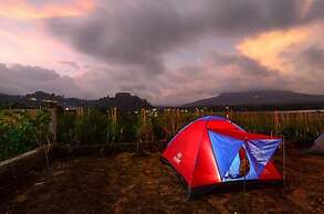 Villa Kedisan Lake View Kintamani