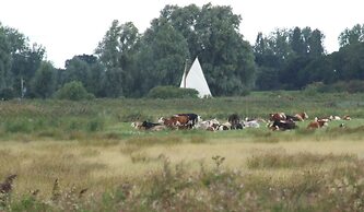 Charming Woodland Lodge 2 Person 1 Bedroom