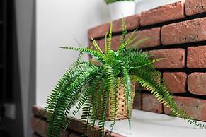 Studio on Dluga Street by Renters