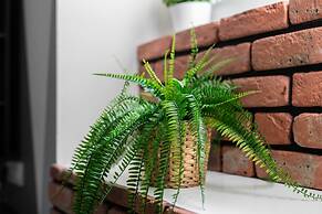 Studio on Dluga Street by Renters