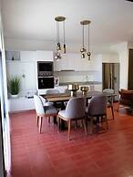 Tribu Chapultepec 67