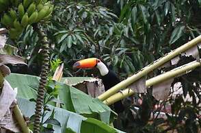 Pousada Rancho da Mata