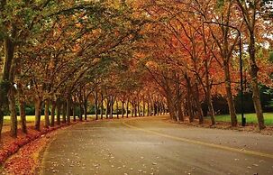 Departamento en el centro de Mendoza