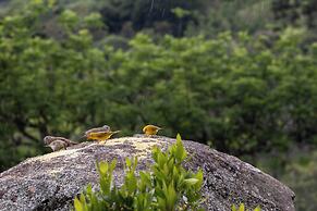 Pousada Terra dos Pássaros