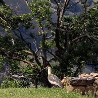 Pousada Terra dos Pássaros