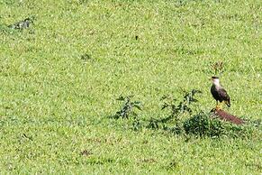 Pousada Terra dos Pássaros