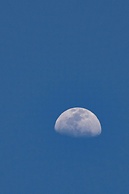 Pousada Terra dos Pássaros