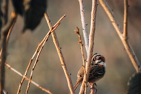 Pousada Terra dos Pássaros
