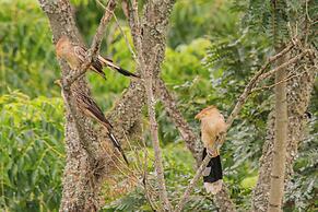 Pousada Terra dos Pássaros