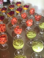 Pousada Terra dos Pássaros