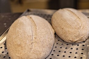 Pousada Terra dos Pássaros