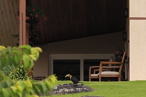 Pousada Terra dos Pássaros