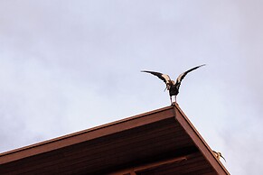 Pousada Terra dos Pássaros