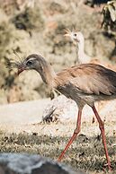 Pousada Terra dos Pássaros