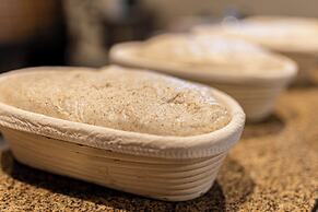 Pousada Terra dos Pássaros