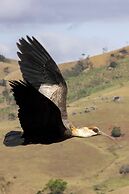 Pousada Terra dos Pássaros