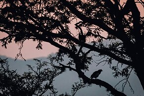 Pousada Terra dos Pássaros