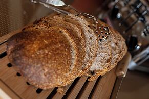 Pousada Terra dos Pássaros