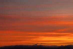 Pousada Terra dos Pássaros