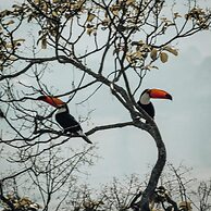 Pousada Terra dos Pássaros