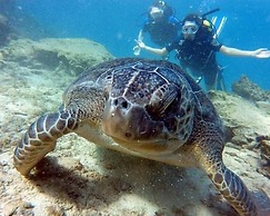 Sun Plaza Suites - Adults Only