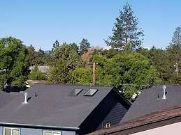 Rooftop Deck Walk to River Downtown Fire pit