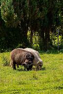 Sweet Murzasichle Apartment by Renters