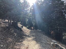 Alhatti Christian Resort