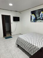 Jhonny Cay Collection Apartment