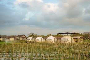 Borobudur Luxury Glamping